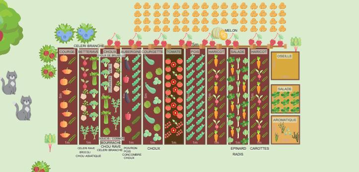 Potager 2023