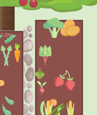 Mon potager 2021