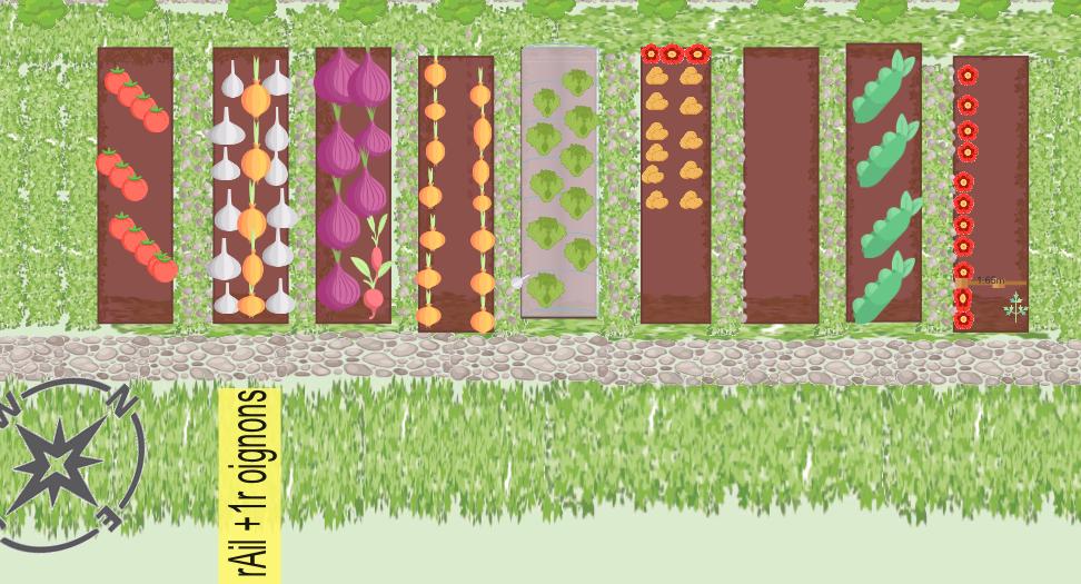 [Mon potager 2023