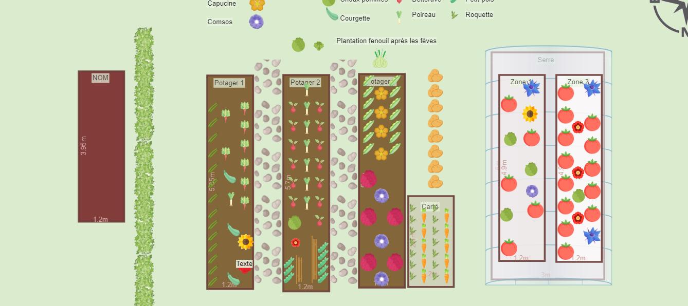 Mon potager 2023