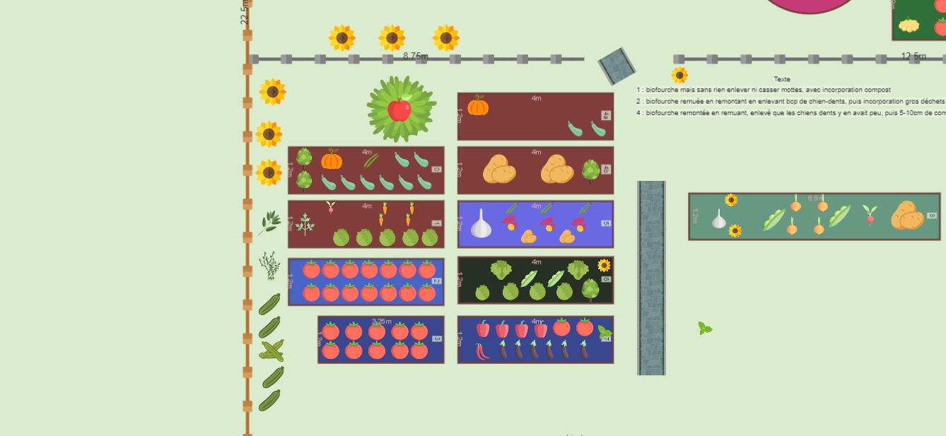 Mon potager 2023