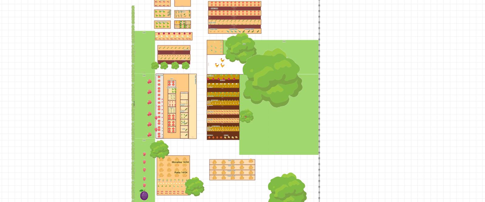Mon potager 2025