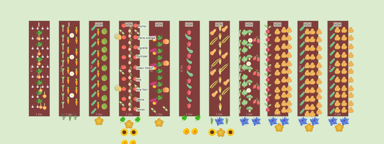 Mon potager 2023