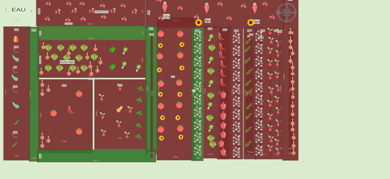 Mon potager mai 2023