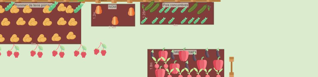 Mon potager 2023