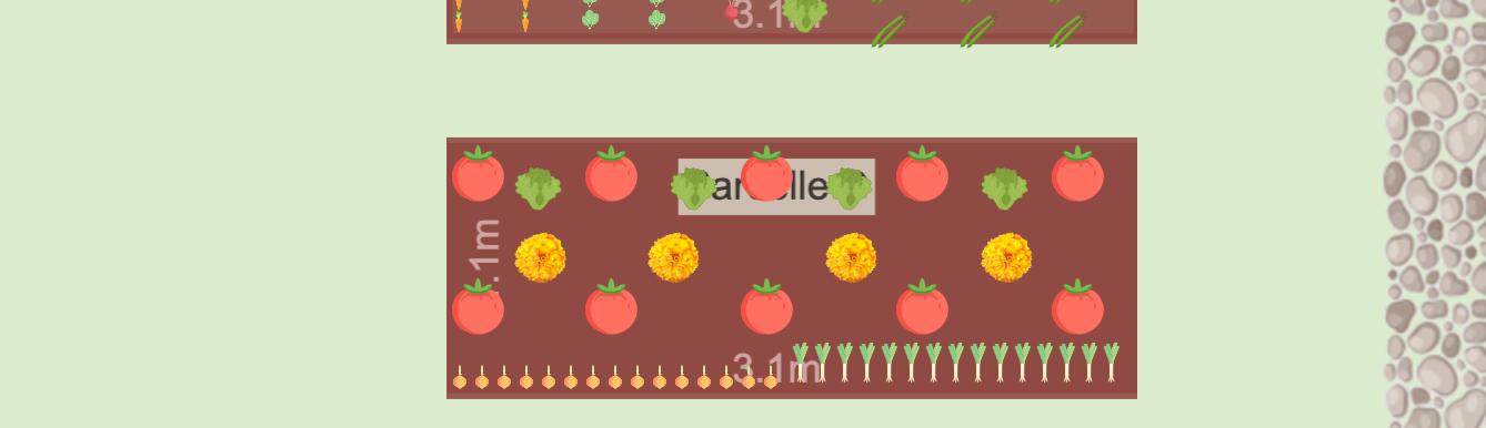 Mon Potager 2023