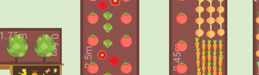 Potager 2024