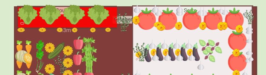 Potager titine 23