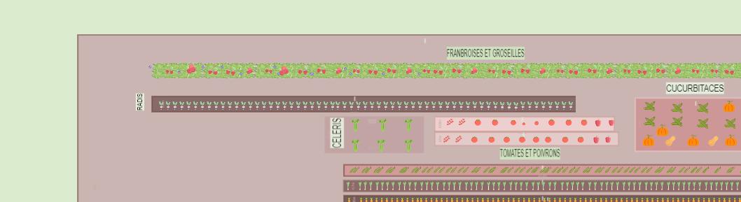 Mon potager Orainville