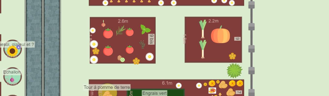 Mon potager juin 2023