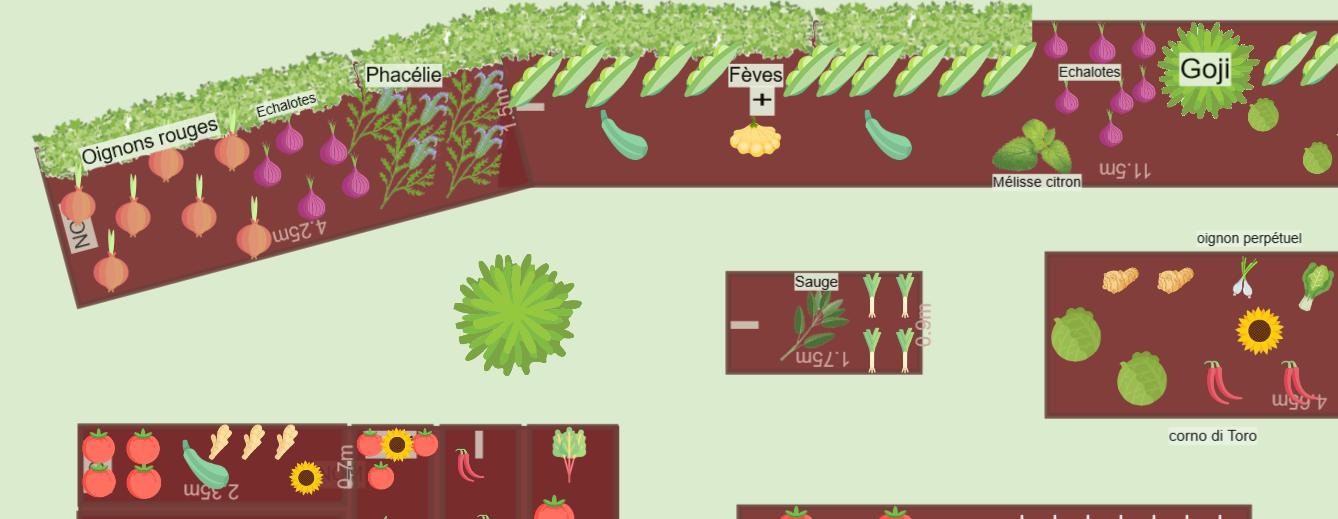 Potager 2023