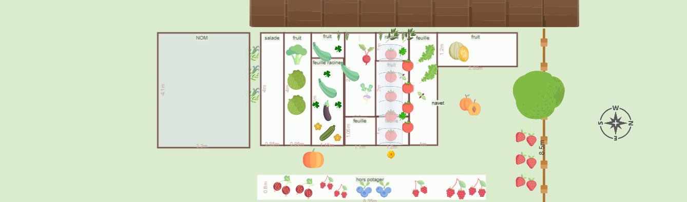 Mon potager 2023 juillet