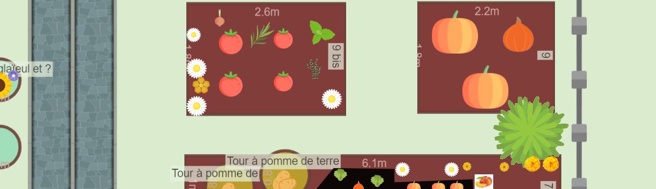 Mon potager au 15 août 2023