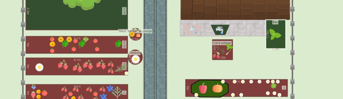 Mon potager au 3 septembre 2023