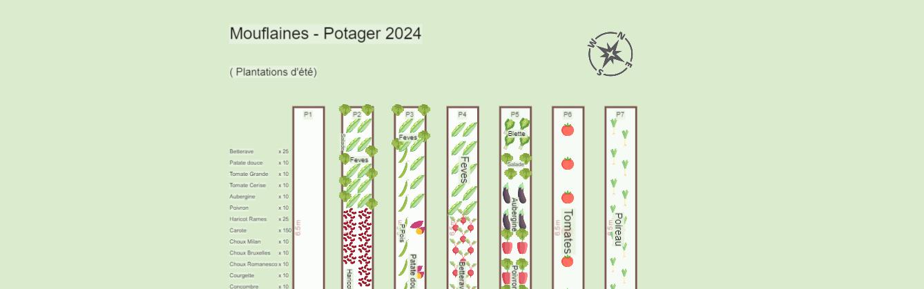 Mouflaines - Potager 2024- Plantations d'été