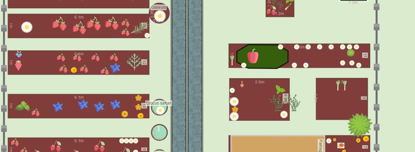 Mon potager en décembre 2023
