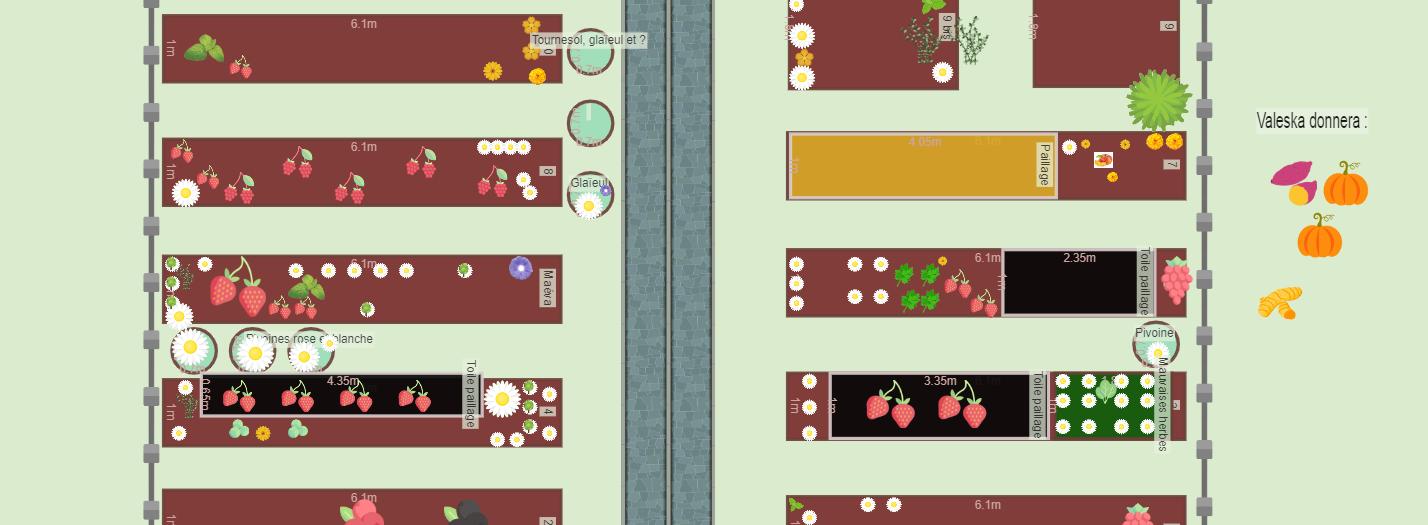 Projet Mon potager en 2024