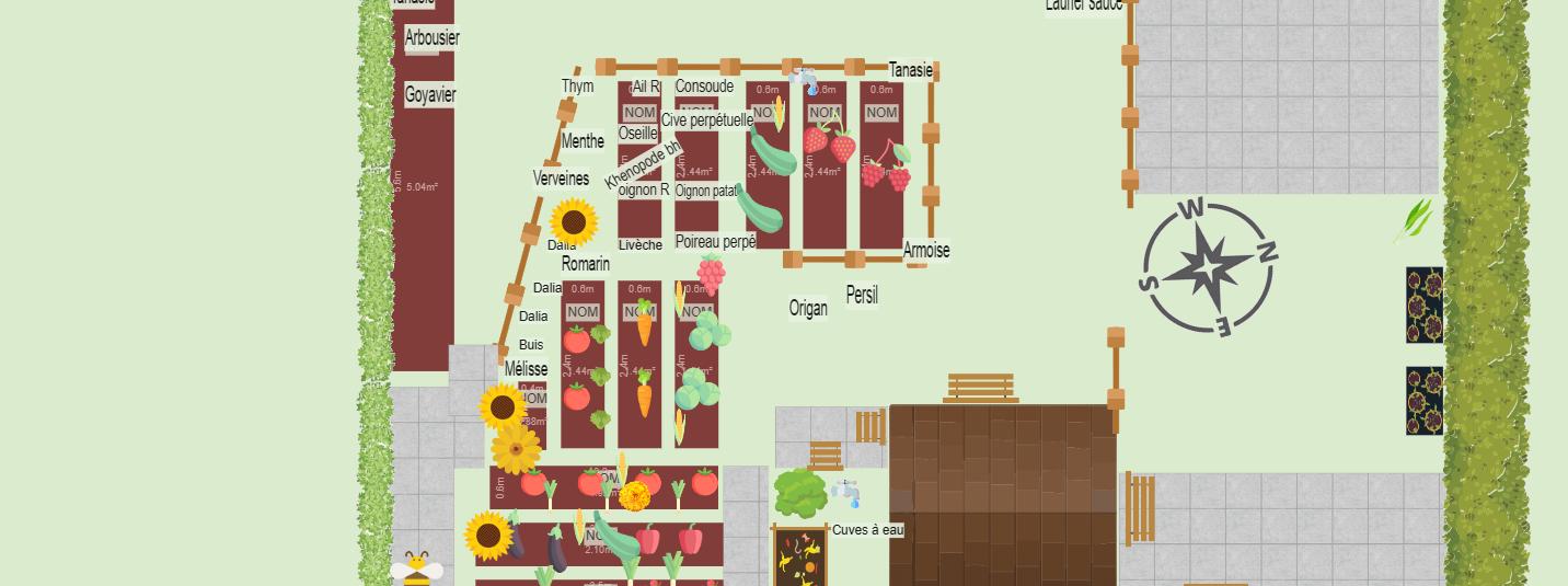 Potager 2024 juin juillet