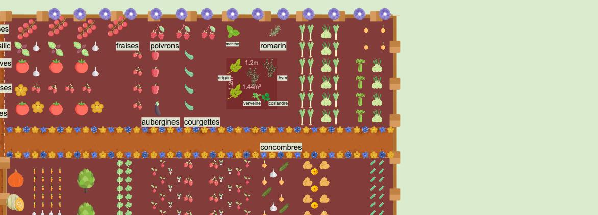 Potager 2024 Petite Creuse #3