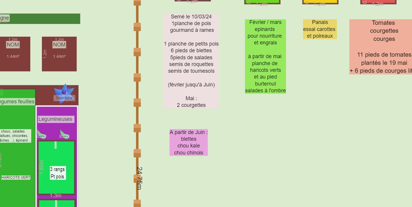 Plan potager 2024