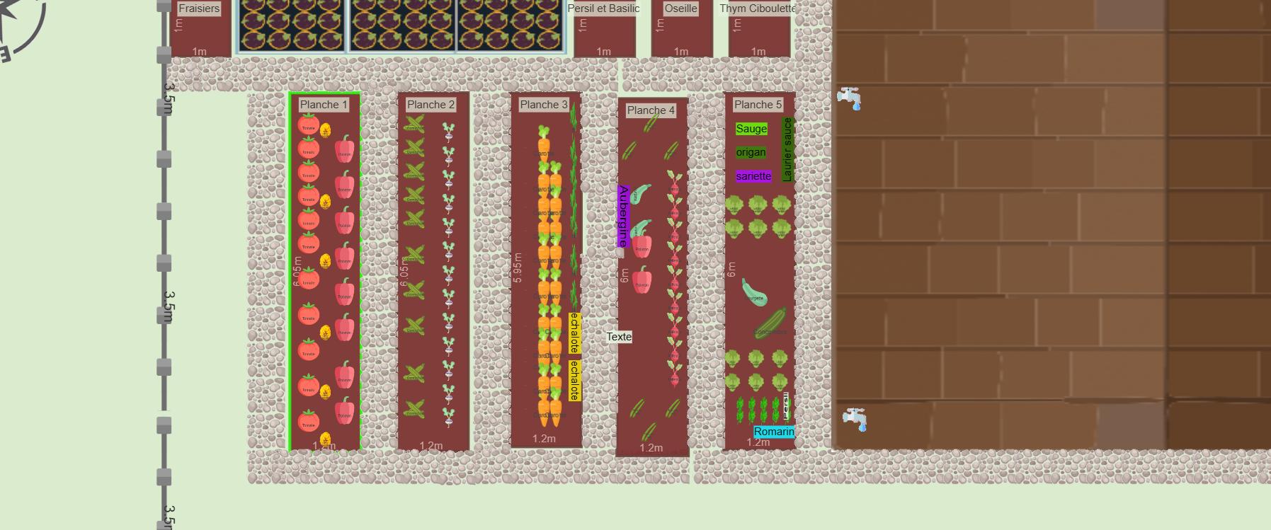 Potager 2024 phase 1 Olivier Tomate