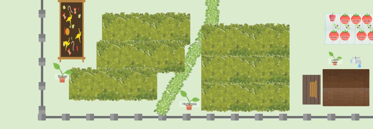 Mon potager été 2024