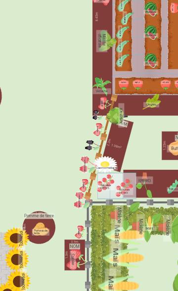Potager 2024