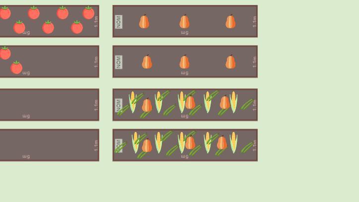 Mon potager 2022
