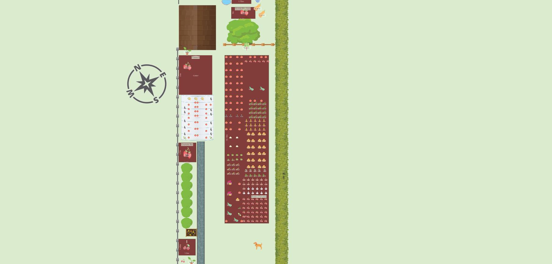 Potager de Thierry 2024 Châtelineau Belgique