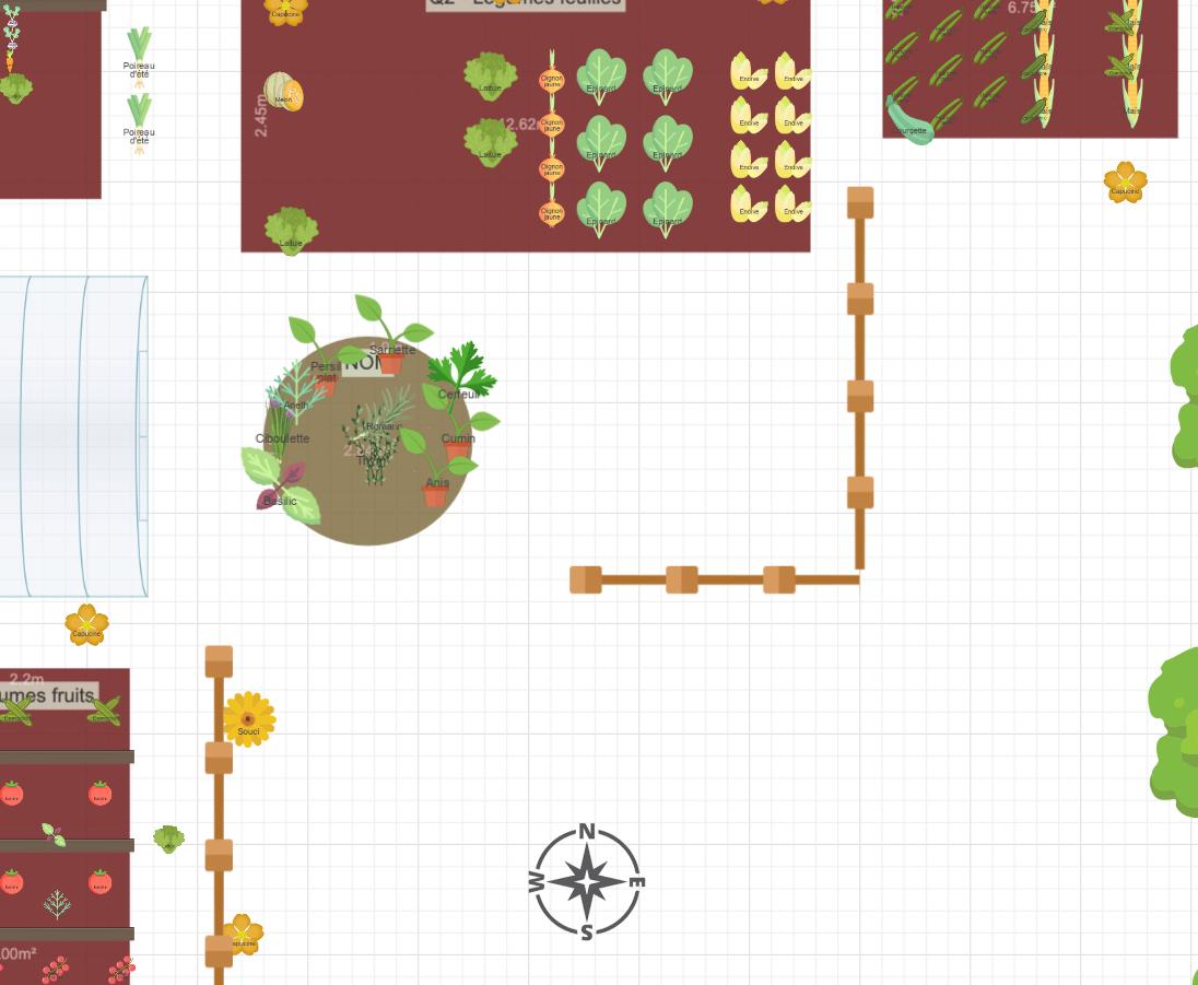Potager 2025 - Printemps Eté