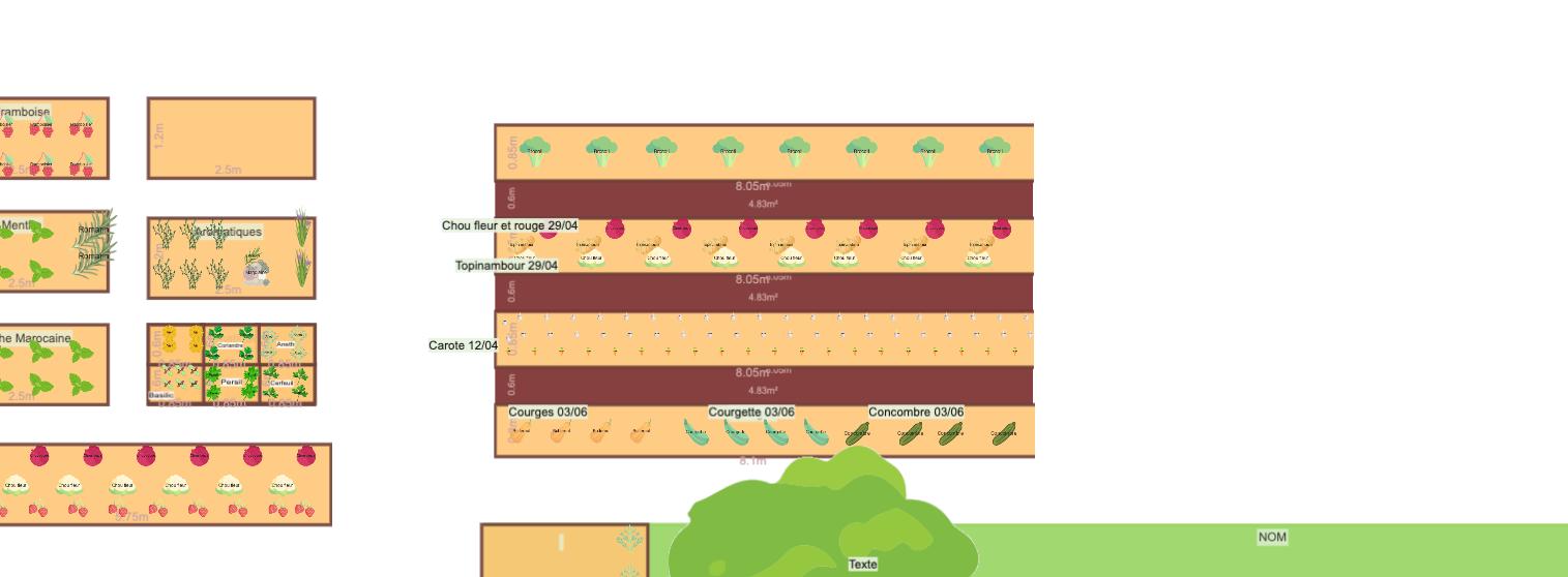 Mon potager 2026