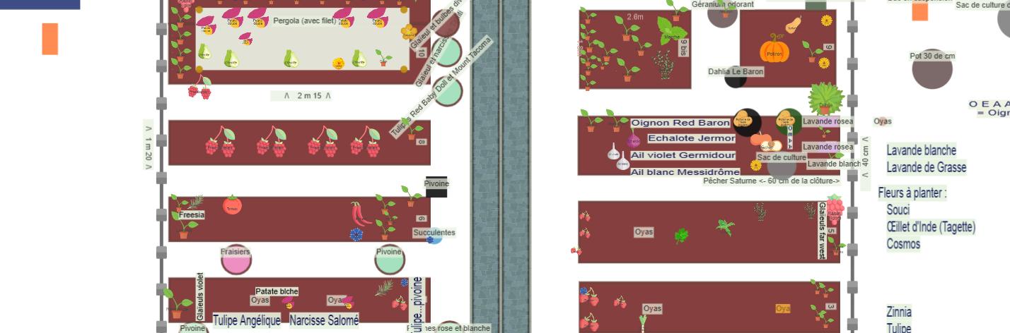 Potager fin 2025 - 2026