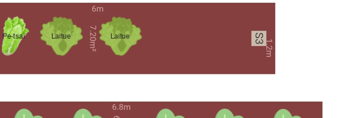 Potager 2025