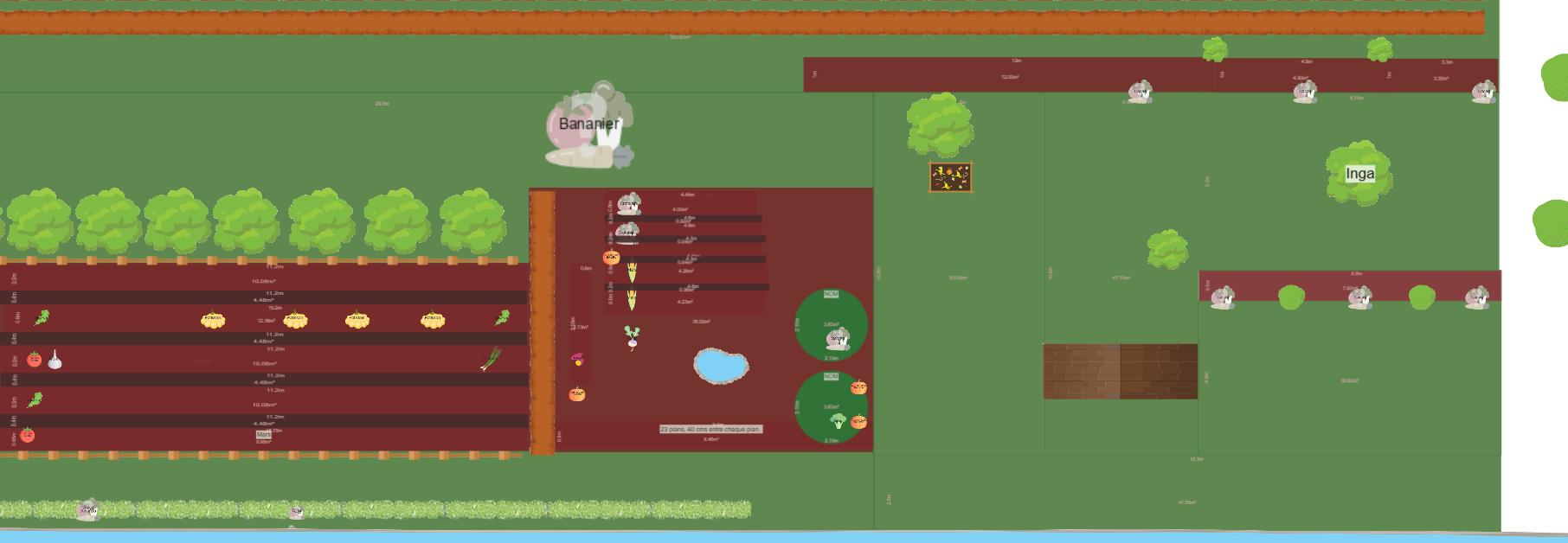 Mon potager 7