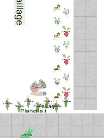 Mon potager (copie)