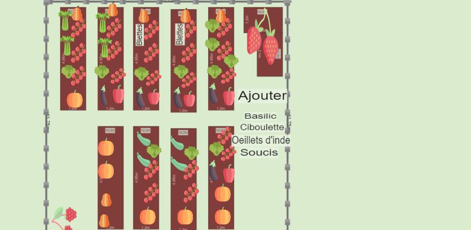 Potager de Françoise 2023