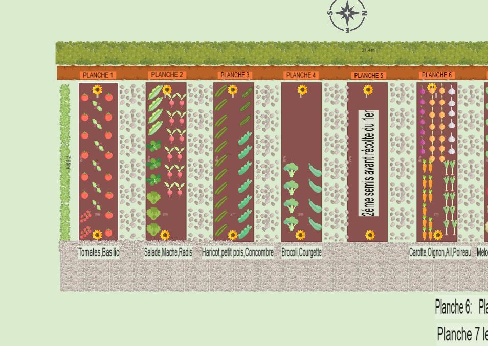 Potager 2023