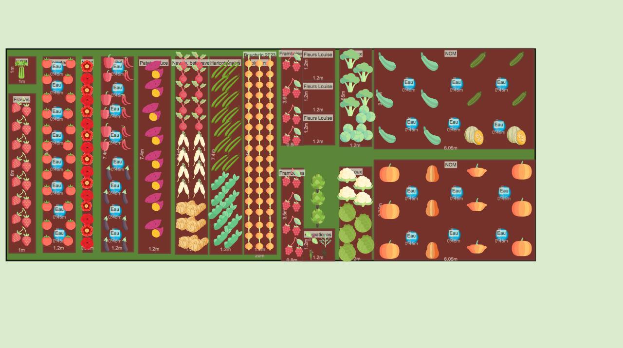 Mon potager 2023