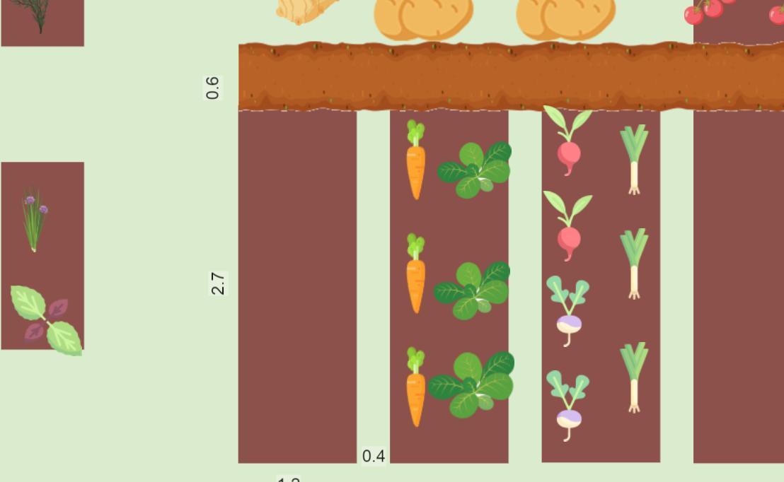 noyer Mon potager 2023