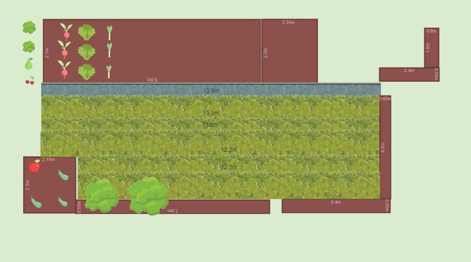 Mon potager 2022