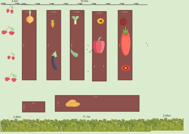 Mon potager 2021