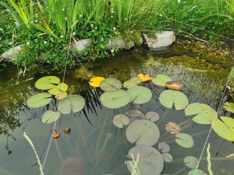 358de2fd9fdd2e89460d588bf5883405