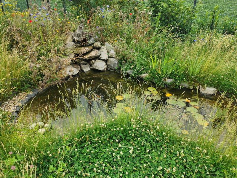 64e520acc38a7883dfa6d64a299d1c22