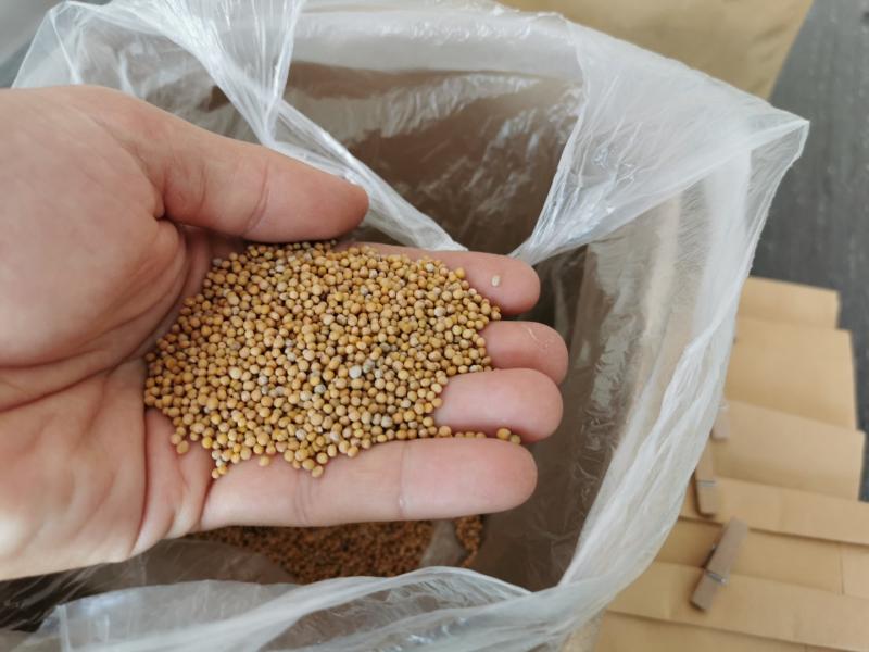 66468fee6e2b89835d8ac84fa6339ce8