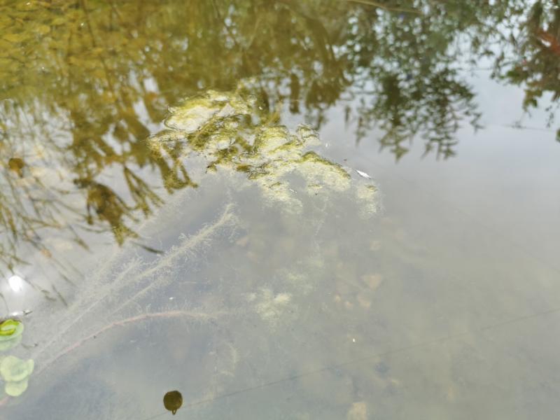 73534b435424958daa2486adc994a831