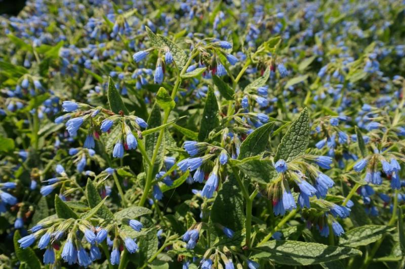 8e22a705c97be8d598e610a12dbafa40