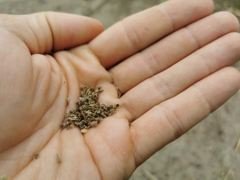 cd2d8eaa5b6d5aa626cd18dc7215e18c