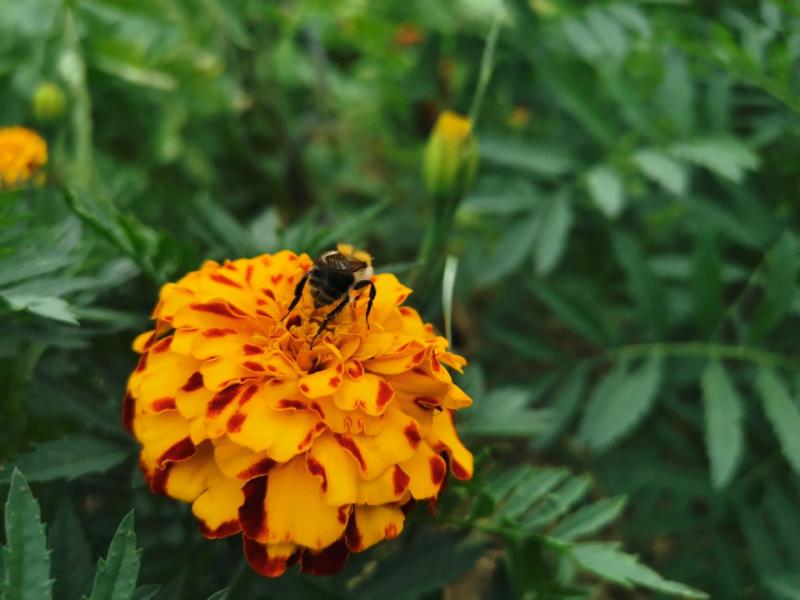 f2e74b19bda8321342b2cfcc0f79a361