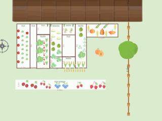 Mon potager 2022 maj 11.10.22