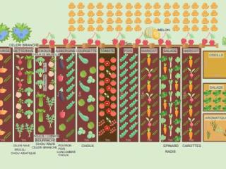 Potager 2023